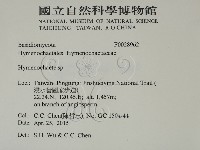 刺革菌屬藏品圖，第2張