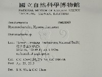刺革菌屬藏品圖，第2張