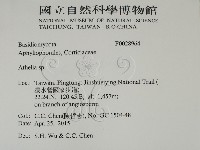 阿太菌屬藏品圖，第2張