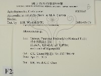 登錄號:F0028965藏品圖，第2張