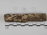 登錄號:F0028965藏品圖，第1張