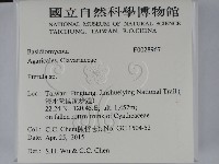 登錄號:F0028967藏品圖，第2張