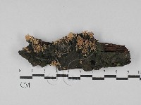 登錄號:F0028967藏品圖，第1張