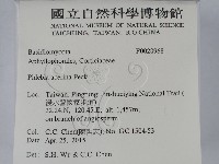 登錄號:F0028968藏品圖，第2張