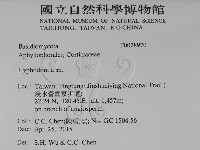 絲齒菌屬藏品圖，第2張