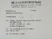 登錄號:F0028971藏品圖，第2張