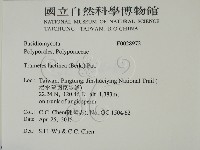 登錄號:F0028972藏品圖，第2張