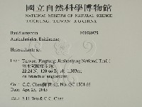 刺皮菌屬藏品圖，第2張