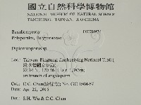 登錄號:F0028976藏品圖，第2張
