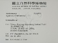 登錄號:F0028977藏品圖，第2張