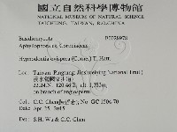 登錄號:F0028978藏品圖，第2張