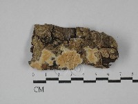 登錄號:F0028978藏品圖，第1張