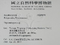 登錄號:F0028979藏品圖，第2張