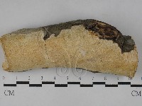 登錄號:F0028979藏品圖，第1張