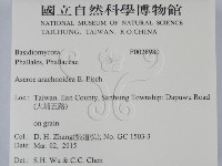 登錄號:F0028980藏品圖，第2張