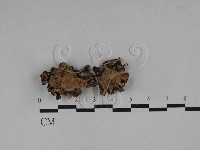 登錄號:F0028980藏品圖，第3張