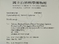 登錄號:F0028982藏品圖，第2張