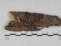 登錄號:F0028983藏品圖，第1張
