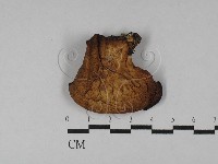 登錄號:F0028984藏品圖，第1張