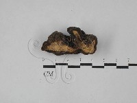 登錄號:F0028988藏品圖，第3張