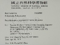 登錄號:F0028989藏品圖，第2張