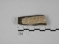 登錄號:F0028989藏品圖，第1張