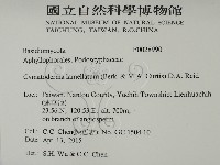 登錄號:F0028990藏品圖，第2張
