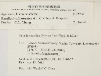 登錄號:F0028991藏品圖，第2張