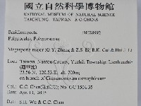 登錄號:F0028992藏品圖，第2張