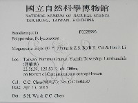 登錄號:F0028993藏品圖，第2張