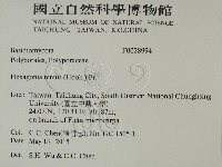 登錄號:F0028994藏品圖，第2張