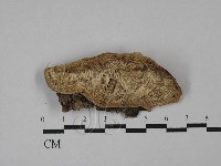 登錄號:F0028994藏品圖，第1張