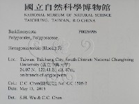 登錄號:F0028995藏品圖，第2張