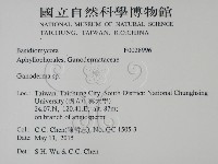 靈芝屬藏品圖，第2張