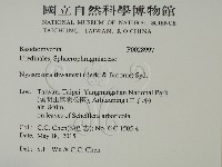 登錄號:F0028997藏品圖，第2張