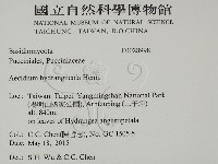 登錄號:F0028998藏品圖，第2張