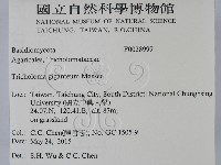 登錄號:F0028999藏品圖，第2張