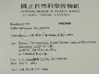 登錄號:F0029000藏品圖，第2張