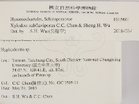 登錄號:F0029001藏品圖，第2張