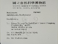 齒耳菌屬藏品圖，第2張