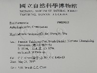 登錄號:F0029003藏品圖，第2張