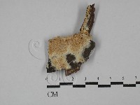 登錄號:F0029003藏品圖，第1張