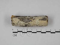 登錄號:F0029005藏品圖，第1張