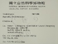 登錄號:F0029006藏品圖，第2張