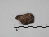登錄號:F0029006藏品圖，第1張