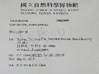 登錄號:F0029009藏品圖，第2張