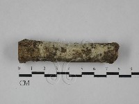 登錄號:F0029009藏品圖，第1張