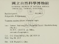 登錄號:F0029010藏品圖，第2張