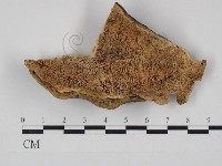 登錄號:F0029010藏品圖，第1張