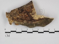 登錄號:F0029010藏品圖，第3張